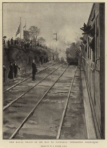 El tren real en su camino a Victoria, espectadores interesados de William Lionel Wyllie